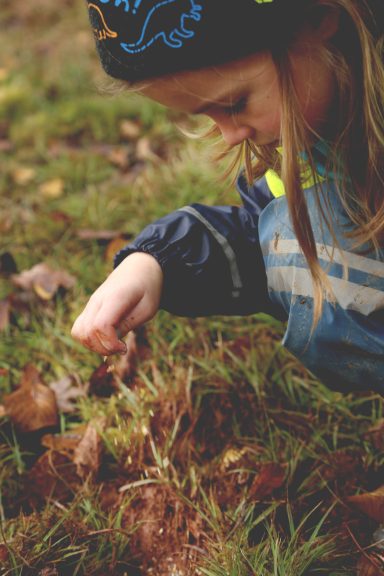 Naturschutzplanung Riegelsberg_Schritt 2-Samen streuen